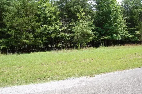 Wooded Residential Land Lot
