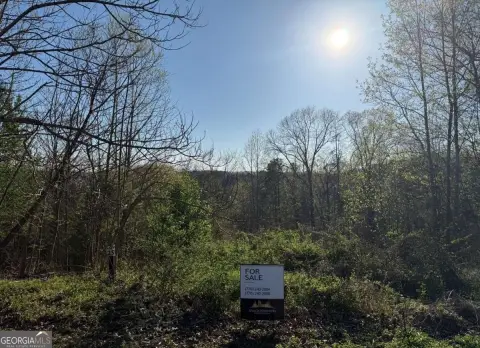 2+ Acre Estate Lot
