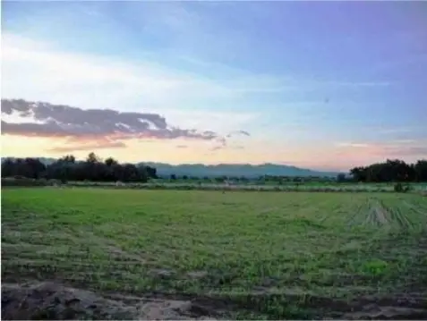 Spacious Vacant Land Opportunity