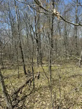 Vacant Lot in Shadowbrook Community