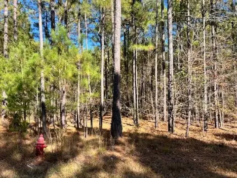 Lincolnton Land Near Clarks Hill