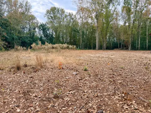 Aiken Land: Build Your Dream