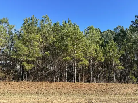 Lakefront Lot in Eagle Pointe