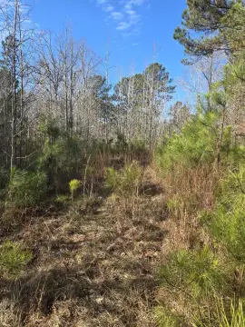 Savannah Bay Interior Lots