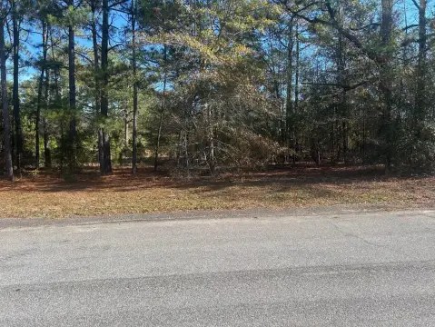 Land in Golf Course Community