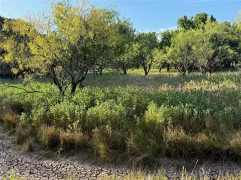 Fenced Agricultural Land