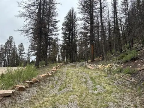 Private Lot in Redhill Forest
