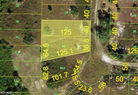 Vacant Land in Punta Gorda