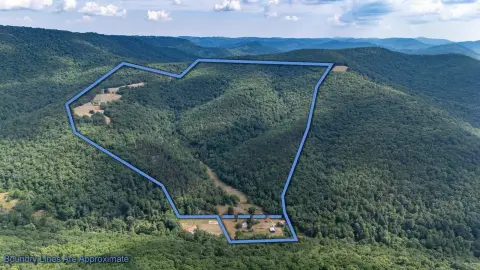 212+ Acres Bordering National Forest