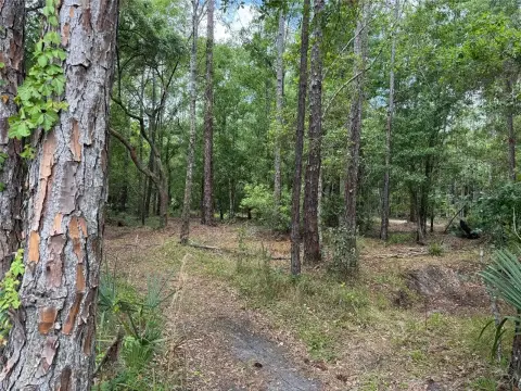 Osteen Land For Sale