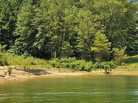 Smith Lake Dream Home Lot