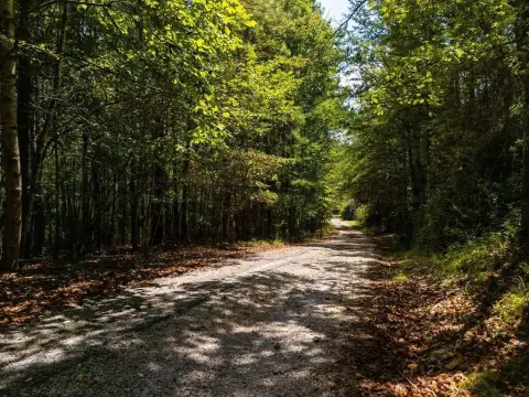 Jasper, AL Wooded Acreage