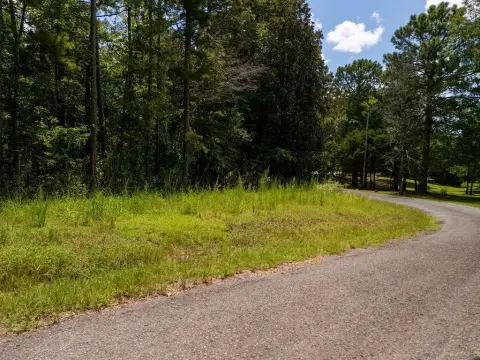 Residential Land in Jasper, Alabama