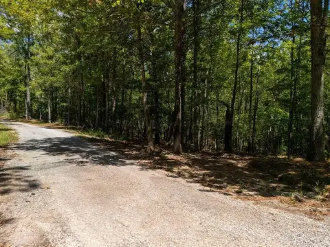 Jasper, AL Wooded Acreage