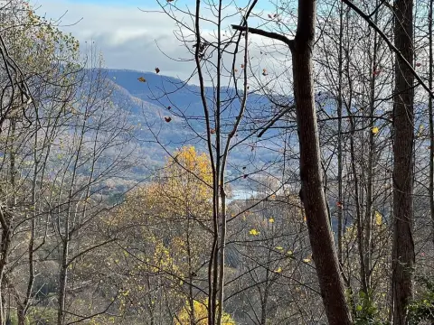 HIAWASSEE, GA Lot with Views
