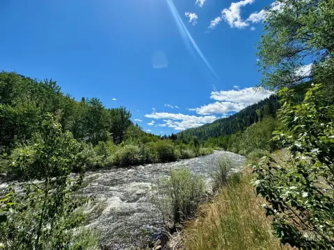 Little Salmon River Frontage Land