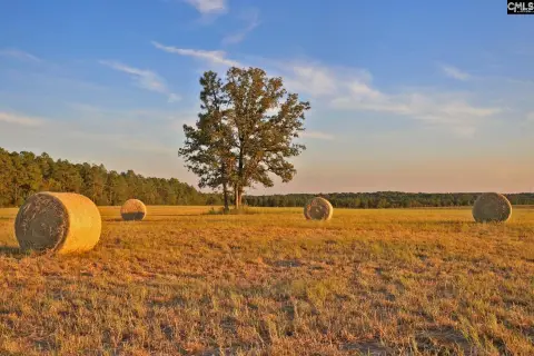 Expansive Acreage in Wagener, SC