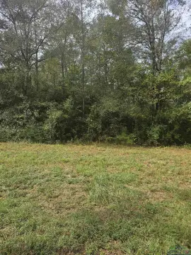 21 Acres in Gary, Texas