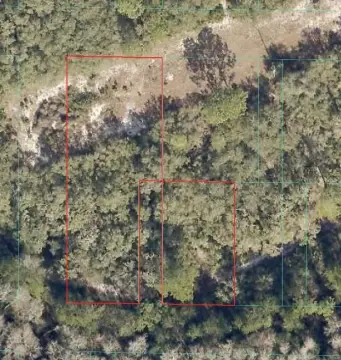 Forested Agricultural Land