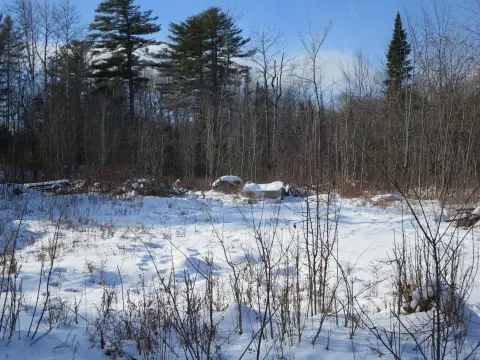 Land Opportunity in Milo, Maine
