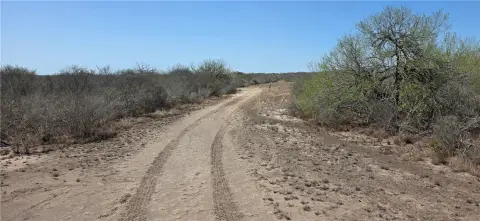 27 Acres Open Canvas Land