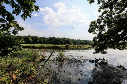 Recreation Land with Creek Frontage