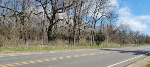 Residential Land in Benton Harbor