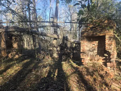 Wooded Acreage in Beech Island