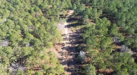 Secluded Wooded Acreage in Plum Branch