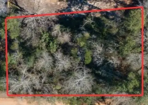 Wooded Lot in New Ellenton