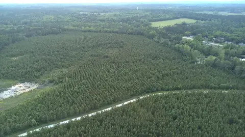 45 Acres in McCormick, SC