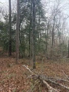 Hephzibah, GA Building Lots