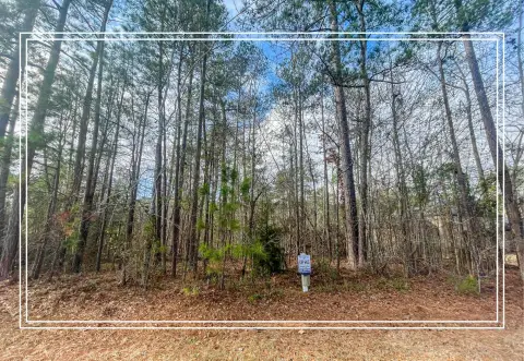 Residential Lot in Mount Vintage