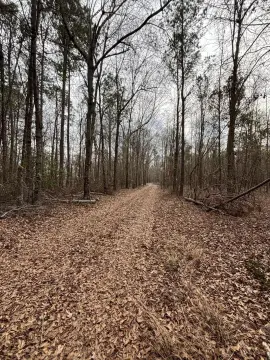 91.35 Acres Unrestricted Georgia Land