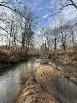 Wooded Land in McCormick, SC