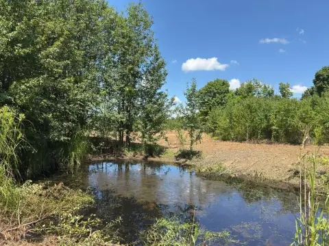 Land with Mountain Views