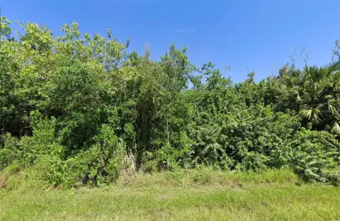 Port Charlotte Land Opportunity
