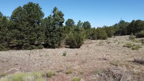 Junipine Estates Land in Williams, AZ