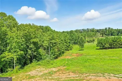 8.45 Acres Near Ball Ground