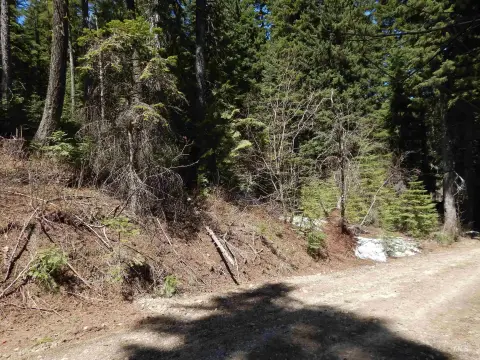 Wooded Camp and Building Lot