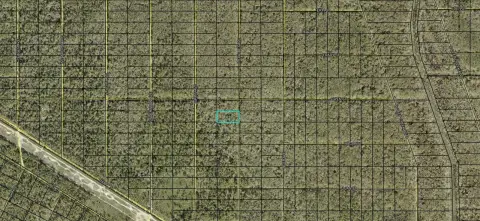 Land in Flagler Estates