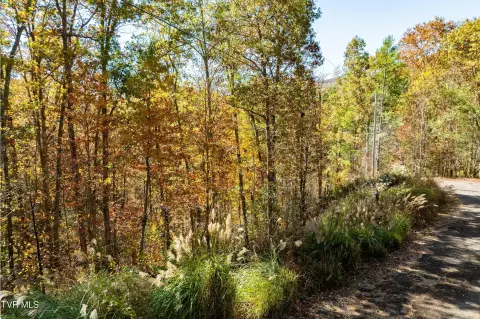 Mountain City Land Opportunity