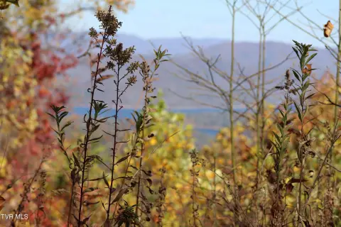 6.04 Acres in Heartwood Development