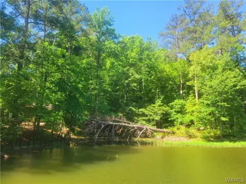 Lake Tuscaloosa Wooded Lot