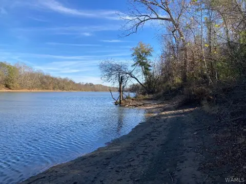 Riverfront Land in Fosters, AL