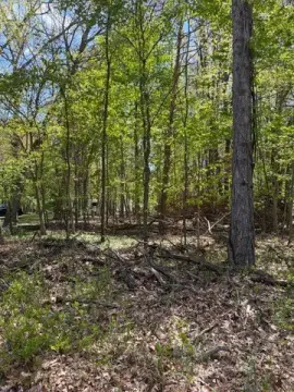 Residential Land Near Lake
