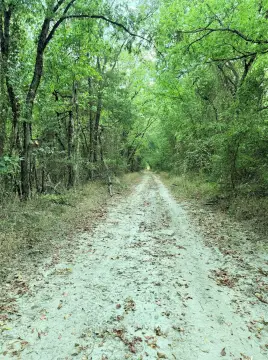 Wooded Hunting Land