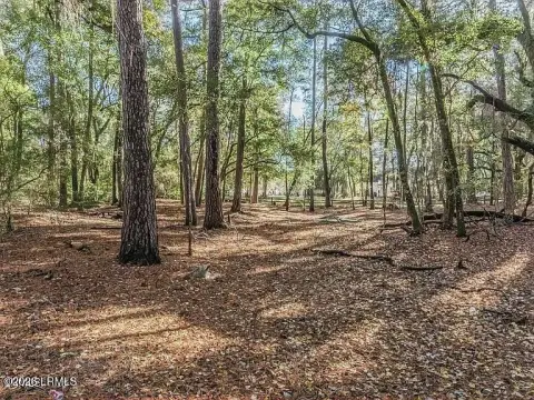 Wooded Residential Land Tract