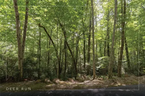 Recreation Land Near Resort Amenities
