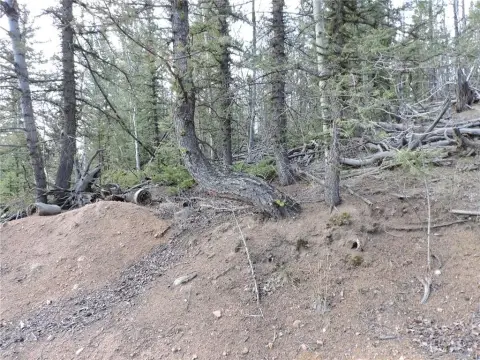 Two-Acre Mountain View Lot
